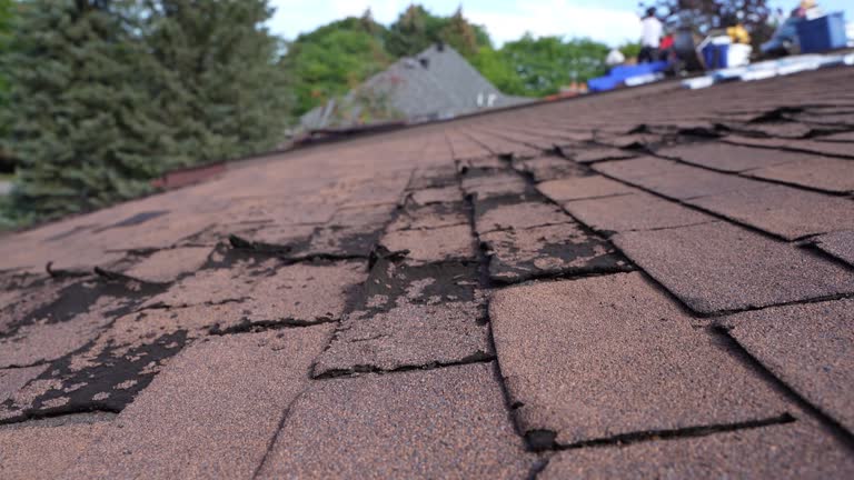 Best Tile Roofing Installation  in Vandalia, MO