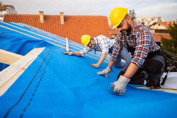 Best Roof Maintenance and Cleaning  in Vandalia, MO